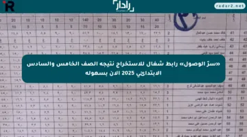«سرّ الوصول» رابط شغال للاستخراج نتيجة الصف الخامس والسادس الابتدائي 2025 الآن بسهولة